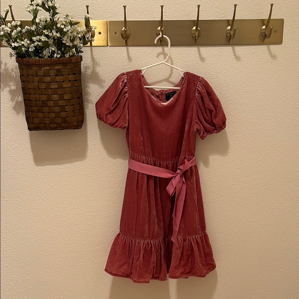 Crewcuts Pink Velvet Dress with Ribbon Sash